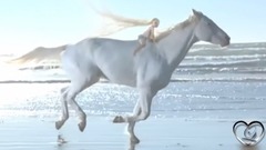 Ernesto Cortazar - Youth, Love and Fantasy