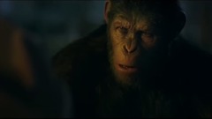 影视原声 - 猩球崛起3:终极之战 剧场版预告片2