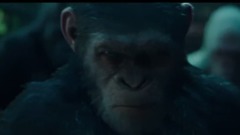 影视原声 - <猩球崛起3:终极之战>之预告片