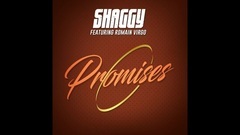 Shaggy - Promises