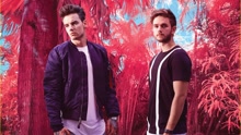 Zedd,Liam Payne - Zedd & Liam Payne - Get Low 巡演版MV