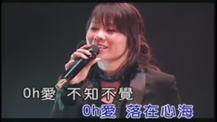 蔡健雅 - 下一次爱情来的时候