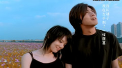 蔡健雅 - 假想敌