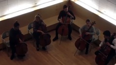 五把大提琴 演奏Lady Gaga金曲Applause