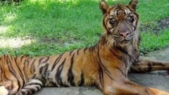 They Call This The Zoo Of Death And Here’s Exactly Why It Needs To Be Shut Down