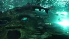 Elian West - Julia (Original Mix) by Yeiskomp Records