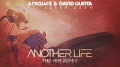 David Guetta,Afrojack,Ester Dean - Another Life (The Him Remix)