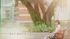 胡夏,影视原声 - 夏至未至