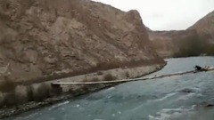 花儿为什么这样红