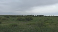 呼伦贝尔草原风光