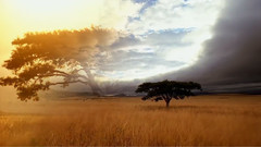 古巴:意外的伊甸园(Nature Cuba:The Accidental Eden)