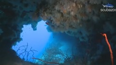 Scuba Diving Ma|dives