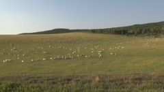 科尔沁草原风光2