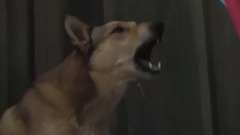 影视原声 - 传教士 精彩片段 第一集片段之Be Quiet