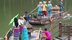 西双版纳 孔雀飞翔