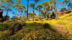 Cloud Pictures Passing