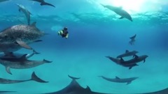 10 Most Dangerous Waters in the World