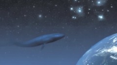 Anders Holte（安德鲁·霍特） - Dream Of The Blue Whale