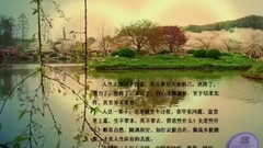 总有一份遇见,唯美了整个曾经 . yixin映画