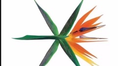 Gaon Chart TOP 20 Korea Billboard July 七月 Week 周 3 2017 KPOP CHART KPC