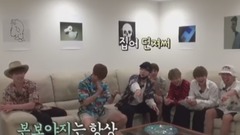 防弹少年团夏威夷行Cut