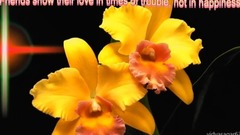 Dilbar Mere...GOOD MORNING Messaging video -Whatsapp