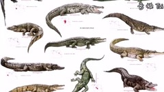 ПОЙМАН САМЫЙ БОЛЬШОЙ КРОКОДИЛ В МИРЕ!