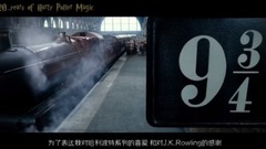 【拌饭观影vol.2】《哈利波特与嘻哈》我觉得还可以(燃向)