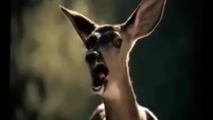 Ghost livestock animals The angry birds