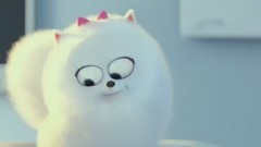 愤怒的小鸟 Angry Birds 预告片 2、P2