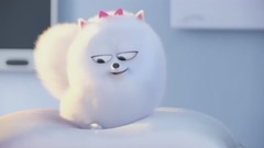 愤怒的小鸟 Angry Birds 预告片 1、P1