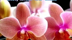 SHYAM TERI BANSI.... Messaging video