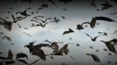 40年无法解释唐山震前惊现一幕