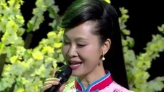 于文华 - 梨花美