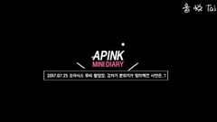 Apink Mini Diary