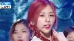 Dream Catcher - Fly high