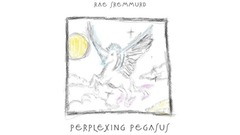 Rae Sremmurd - Perplexing Pegasus