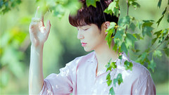 董力 - 梦中情人