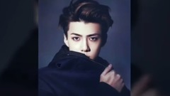 鹿晗,吴世勋(EXO) - 勋鹿音乐视频