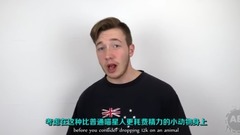 5大因杂交而出现的奇特动物