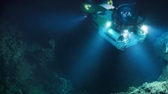 5种神秘又无法解释的海洋生物