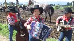 Que sube y que baja Los Ba ales Juniors DESDE EL RANCHO