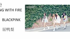 BLACKPINK - 玩火-附带歌词讲解