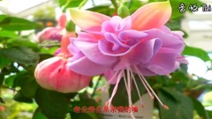 老公亲亲我的嘴