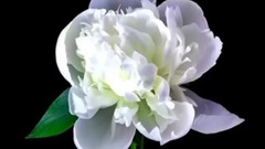 Akhiyonke Jharokon Se