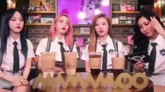 MAMAMOO ZANY TV 跟南美粉丝的Q&A EP2