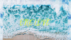 HAHA,SKULL - ONE LOVE