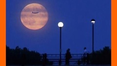 对着月亮说爱你