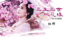  - 杜桦 - 三生三世桃花缘