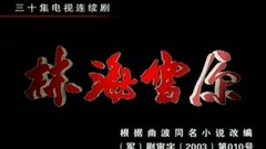 影视原声 - 电视剧<林海雪原>片头曲